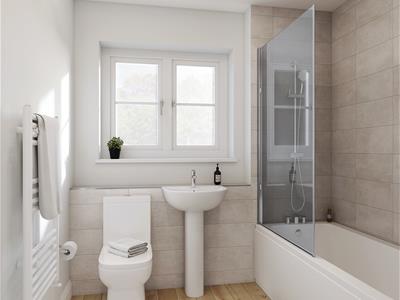 Picture 8